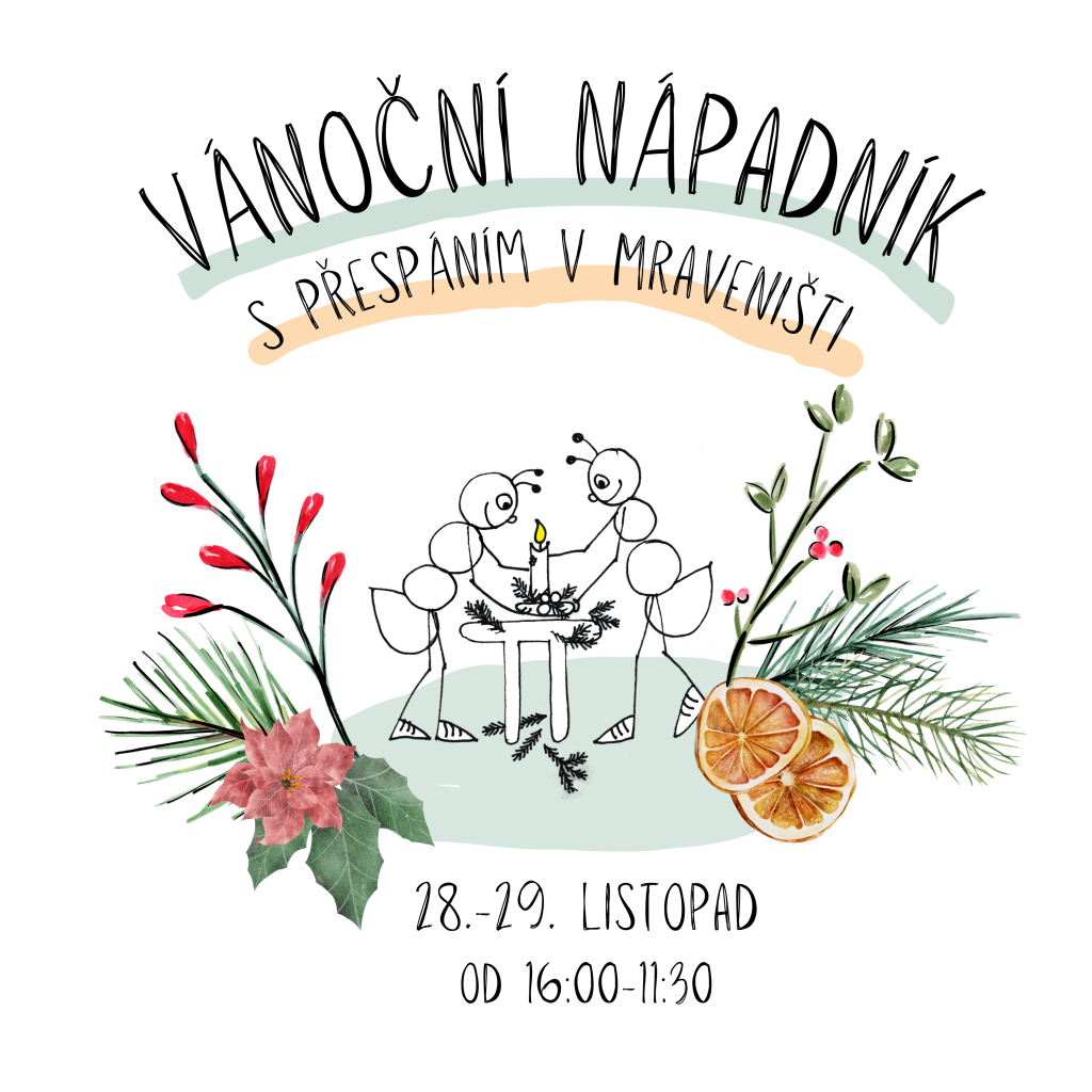 Vánoční nápadník