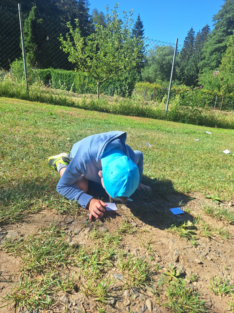 20260709_094755.jpg