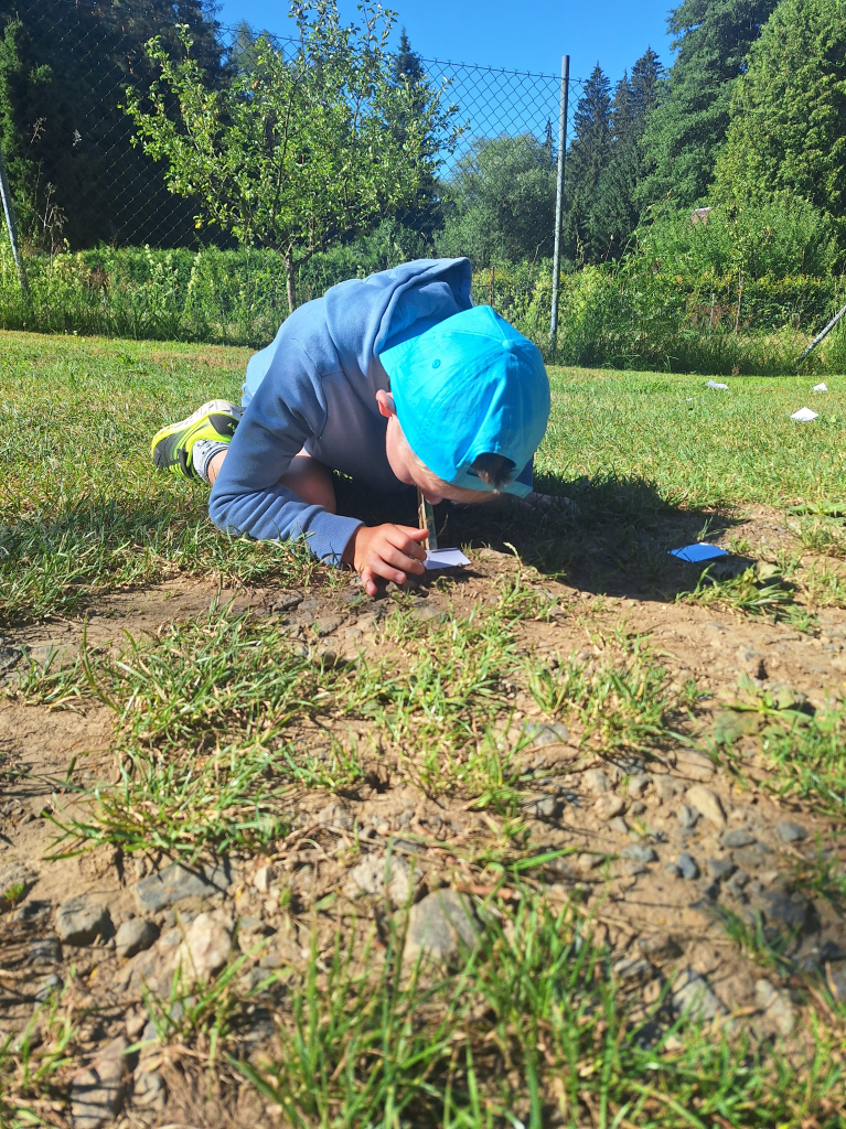 20260709_094757.jpg