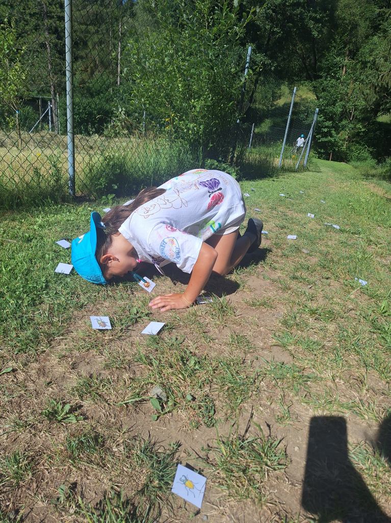 20260709_094912.jpg