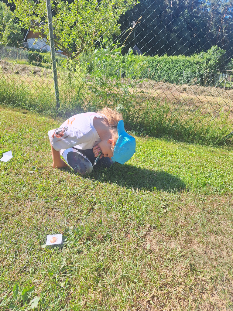 20260709_094923.jpg