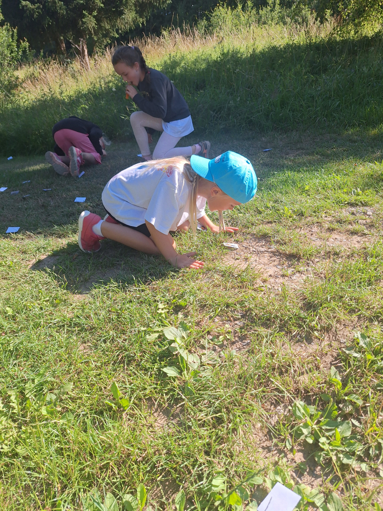 20260709_094938.jpg