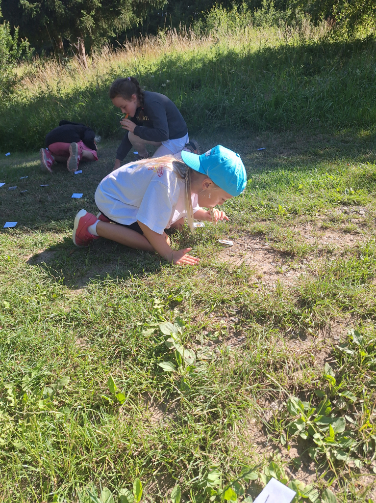 20260709_094939.jpg