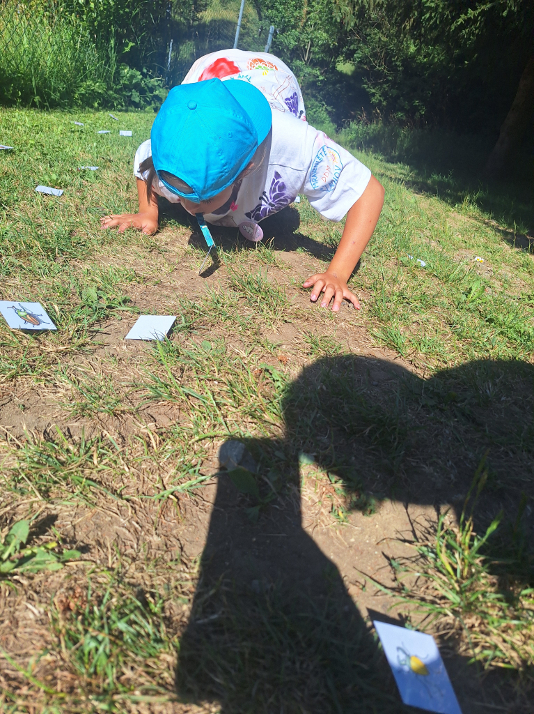 20260709_095024.jpg