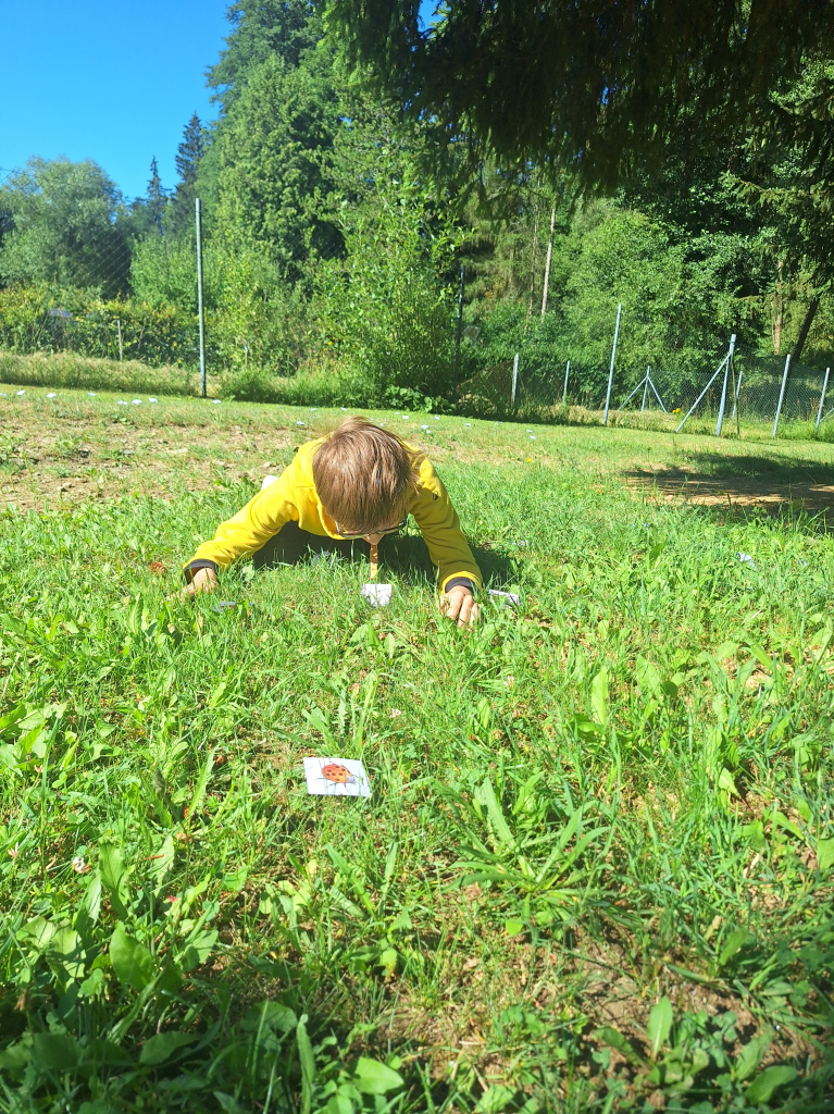 20260709_095105.jpg