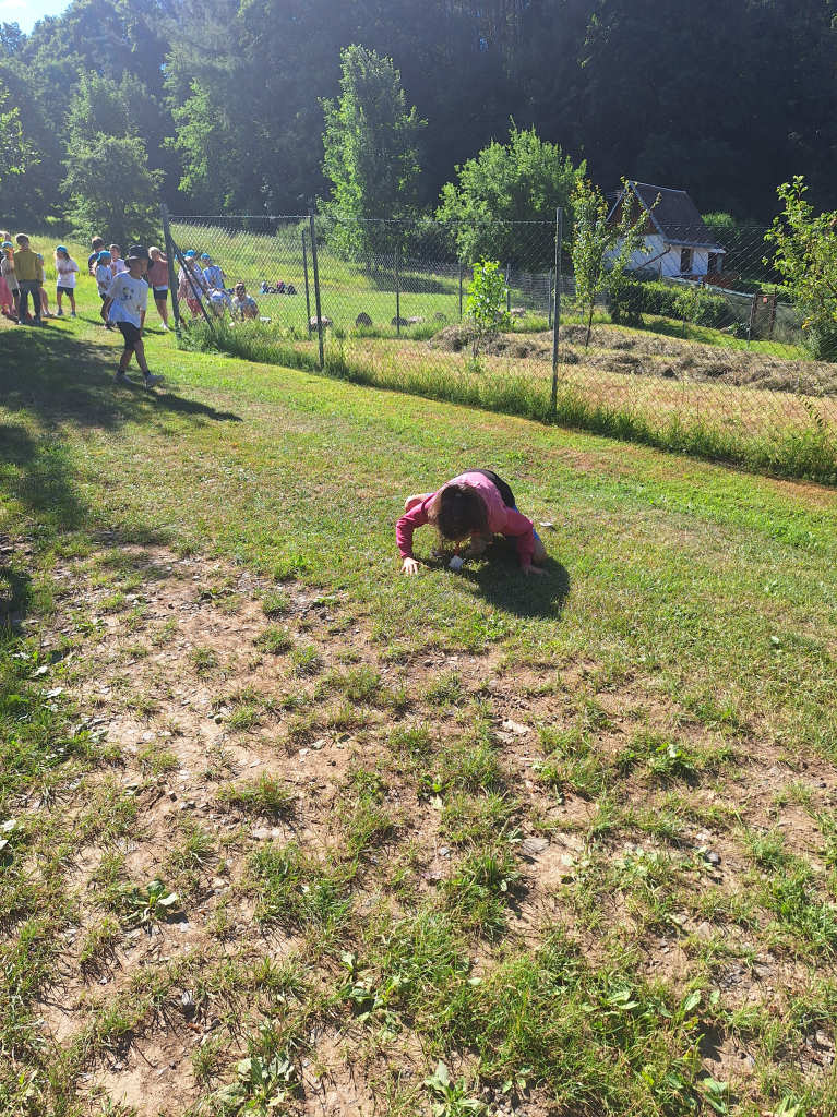 20260709_095205.jpg