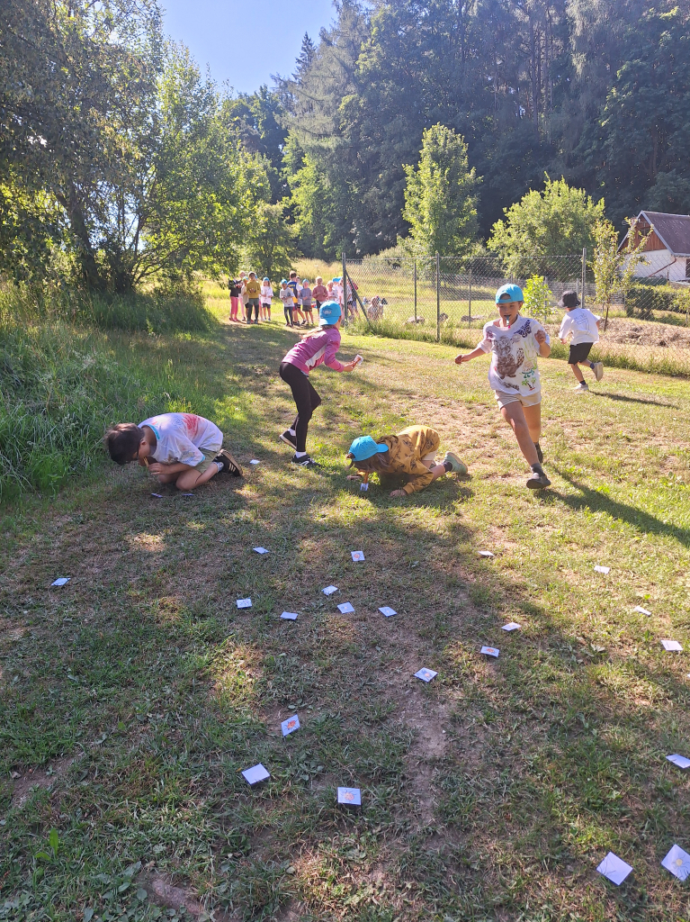 20260709_095218.jpg