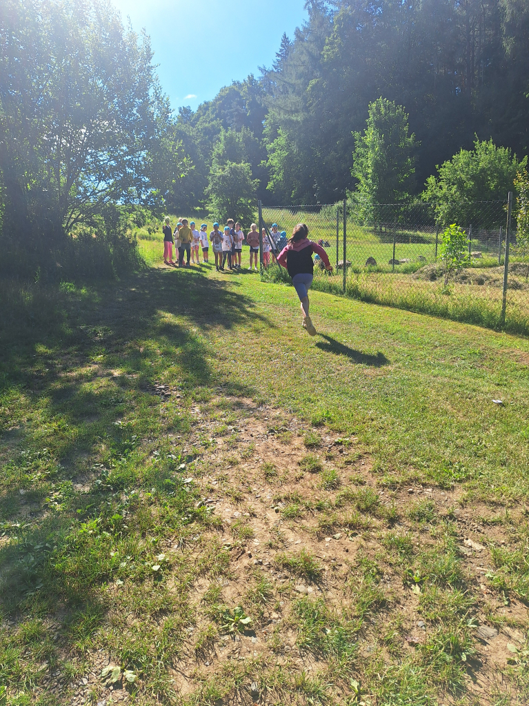 20260709_095209.jpg