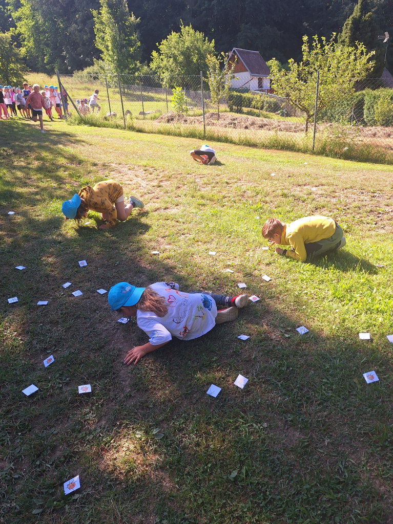 20260709_095234.jpg
