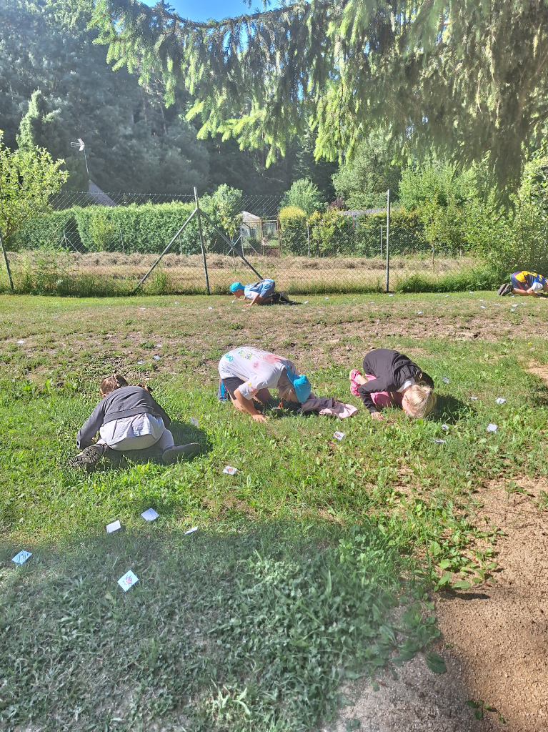 20260709_095257.jpg