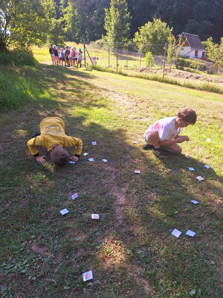 20260709_095345.jpg