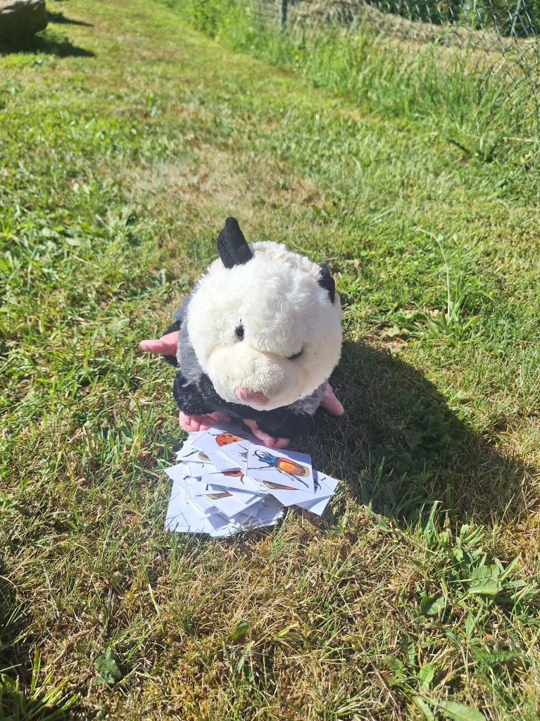20260709_095905.jpg