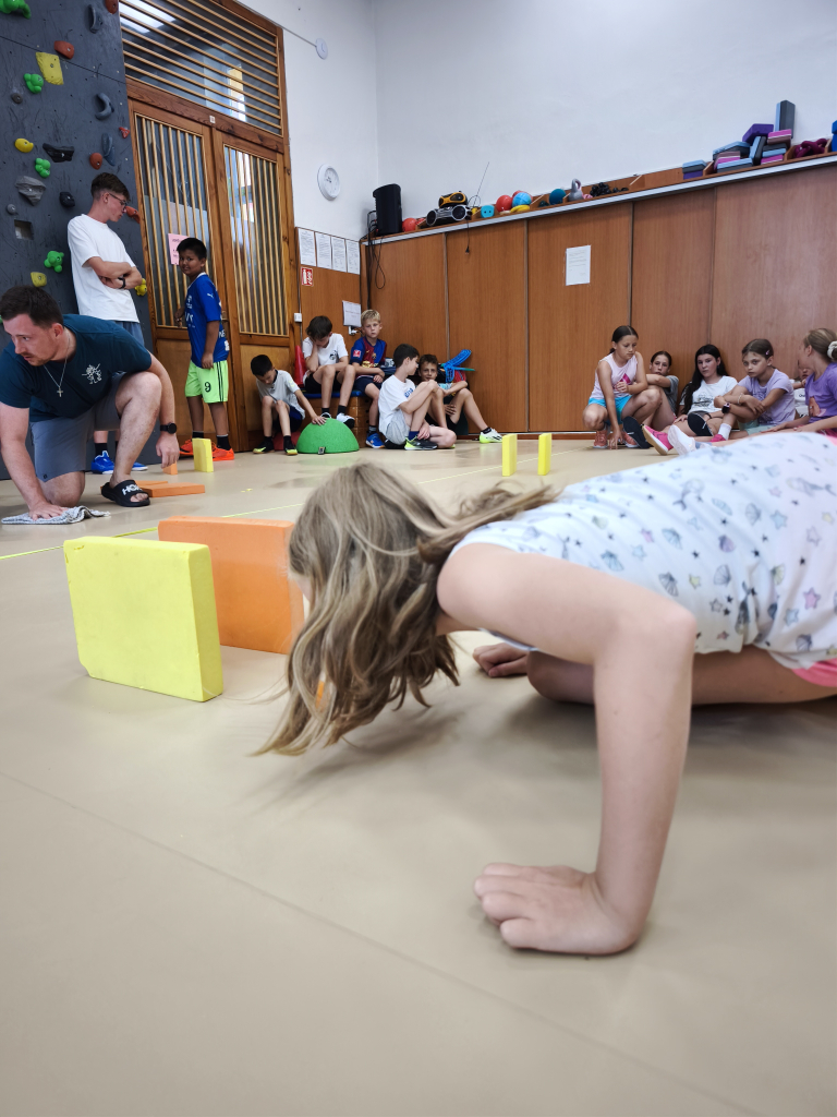 1785505575647.jpg
