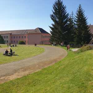20250509_095320.jpg