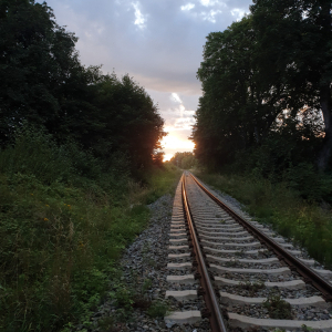 20250729_202230.jpg