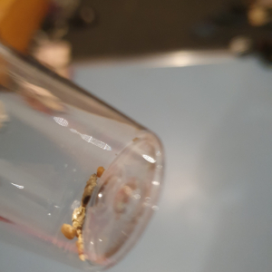 20250801_225951.jpg