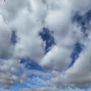 20251012_151452.jpg