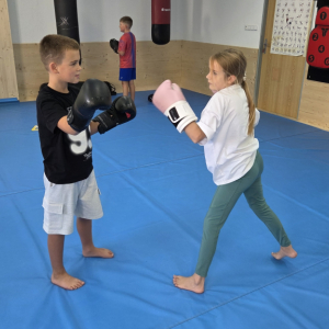 Box a sebeobrana pro děti I. 26/27